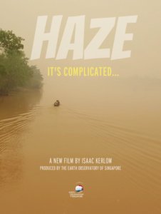 Haze, It's Complicated - Poster