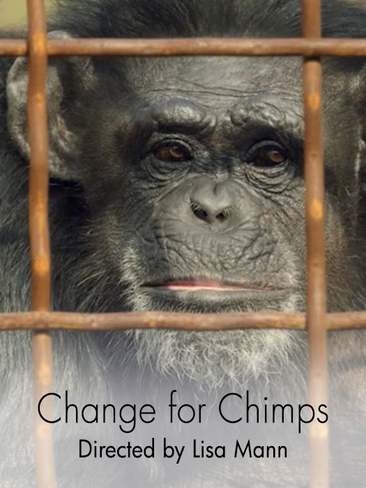 Change for Chimps | Directed by Lisa Mann