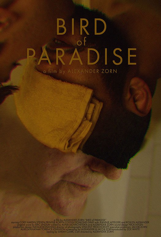 Bird of Paradise - poster