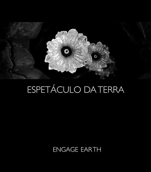 Engage Earth - Poster