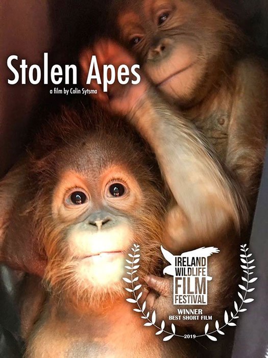 Stole Apes - Poster