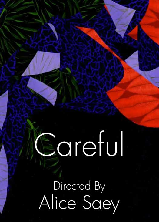 Careful | Alice Saey, Director