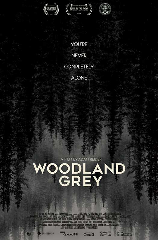 Woodland Grey | Adam Reider