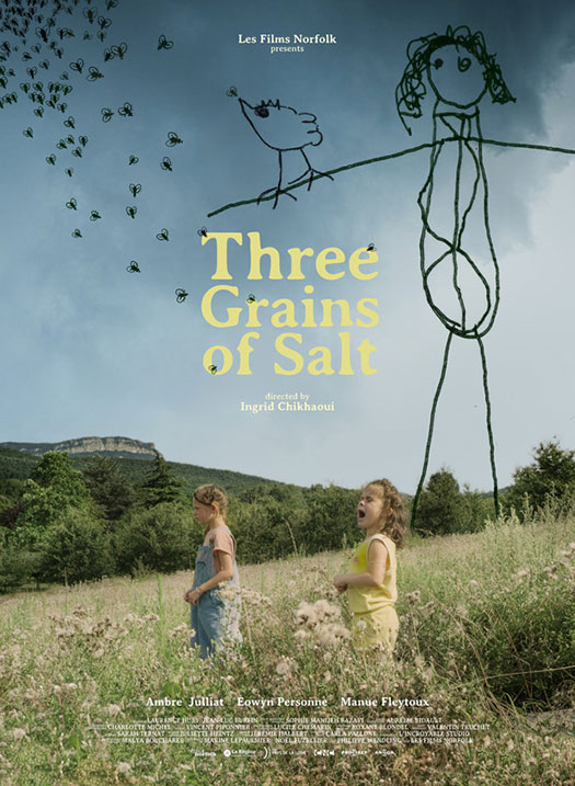 Three Grains of Salt - Poster