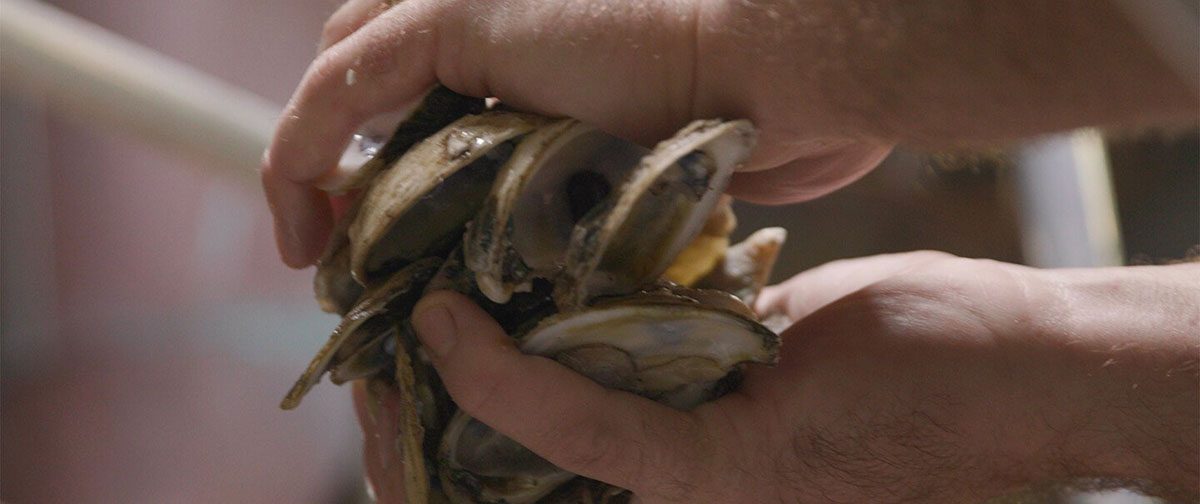 UNFILTERED: The Truth About Oysters