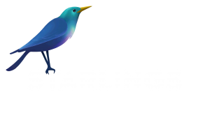 Starlings Entertainment logo